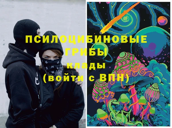 спиды Нея