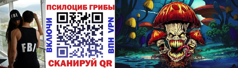 Галлюциногенные грибы мицелий  наркота  Райчихинск 